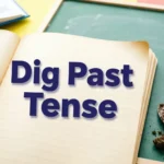 Dig Past Tense