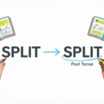 Past Tense of Split