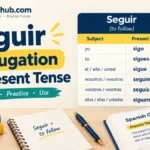 Seguir Conjugation in Present Tense